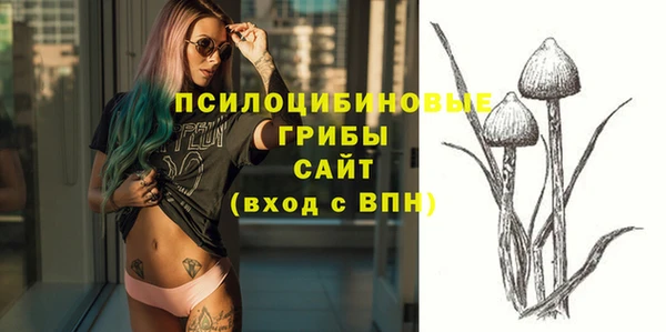 ПСИЛОЦИБИНОВЫЕ ГРИБЫ Лабытнанги
